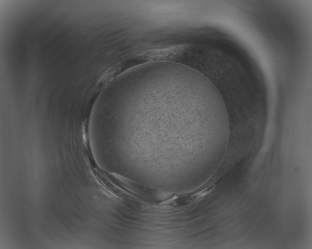 X0000054360383200508011227