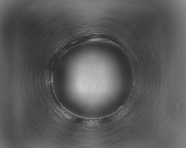X0000054360384200508011227