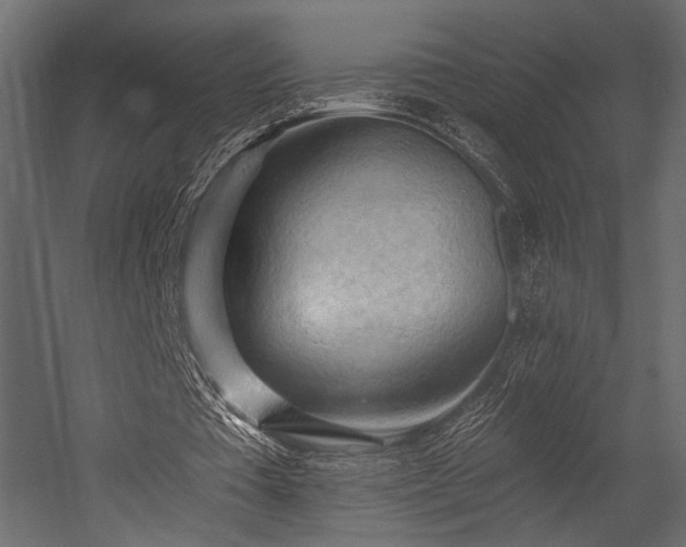 X0000054360385200508011226