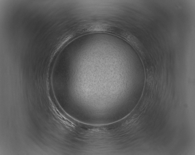 X0000054360386200508011226