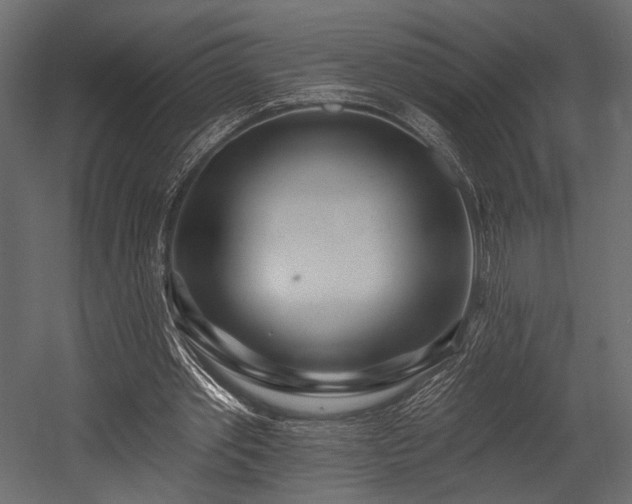 X0000054360389200508011226