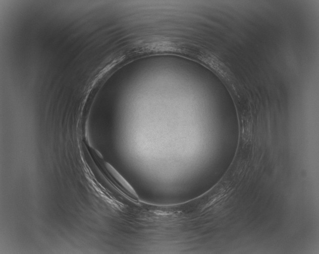 X0000054360390200508011226