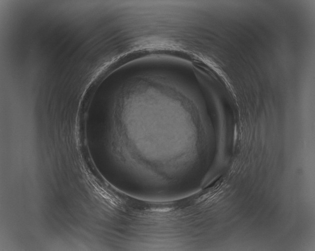 X0000054360391200508011226