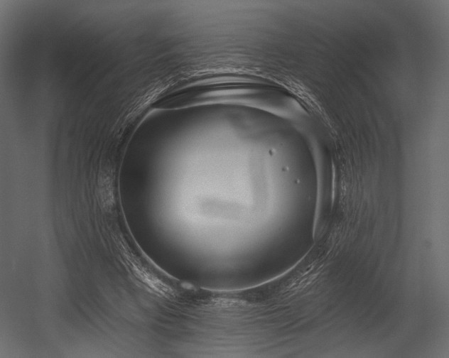 X0000054360393200508011226