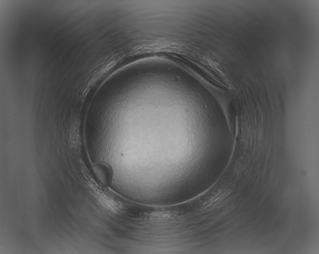X0000054360394200508011226