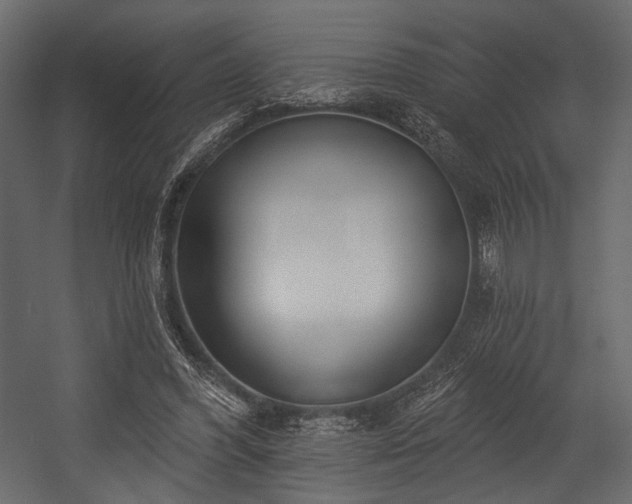 X0000054360396200508011226