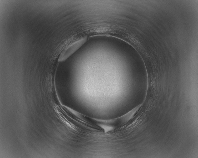X0000054360397200508011226