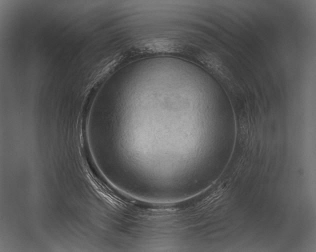 X0000054360398200508011226
