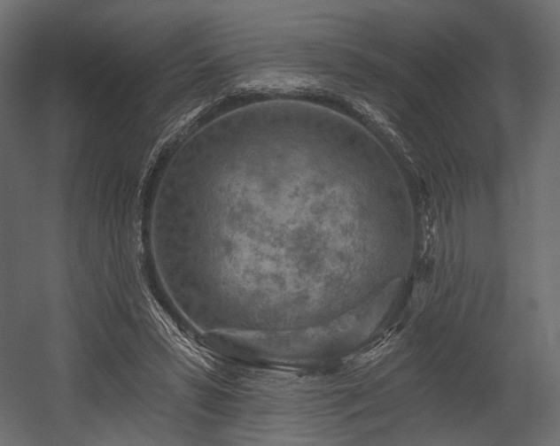 X0000054360399200508011226