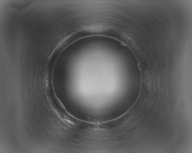X0000054360400200508011226