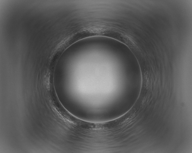 X0000054360404200508011226