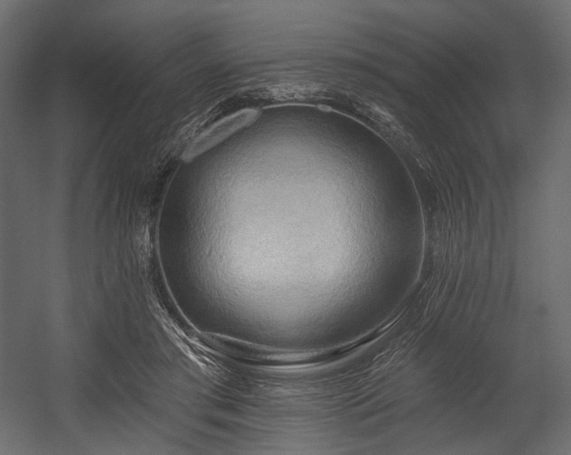 X0000054360405200508011226