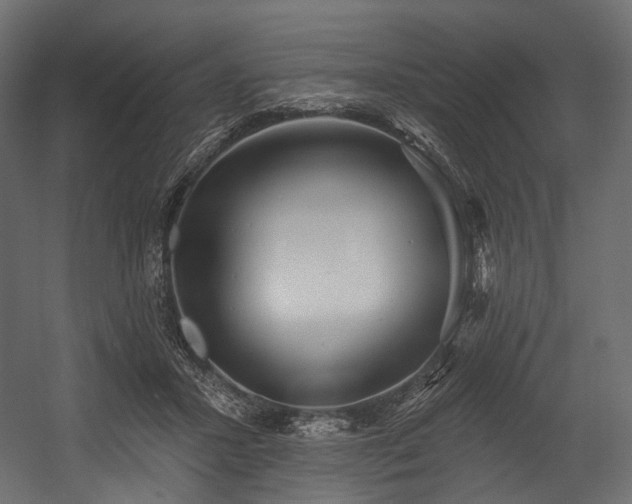 X0000054360407200508011226