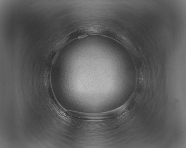 X0000054360409200508011226