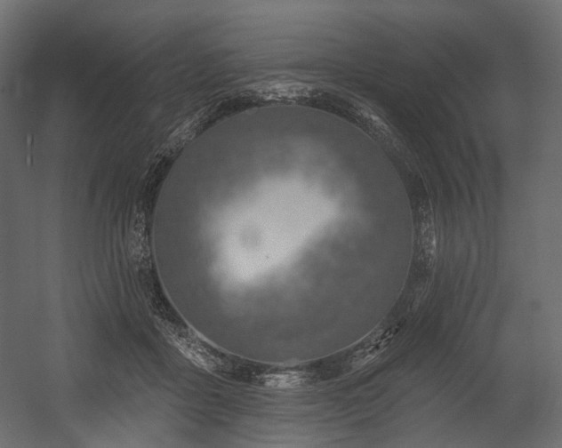 X0000054360411200508011226