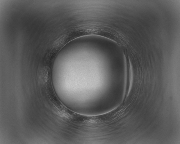 X0000054360412200508011226