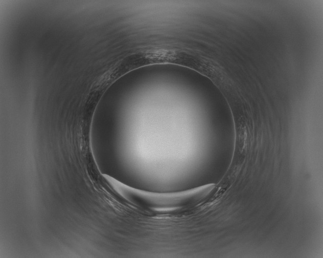 X0000054360416200508011225