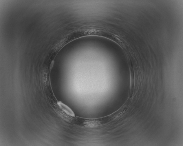 X0000054360417200508011225