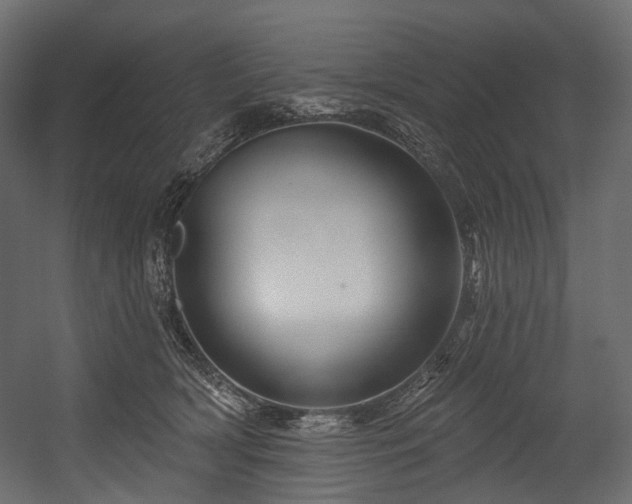 X0000054360418200508011225