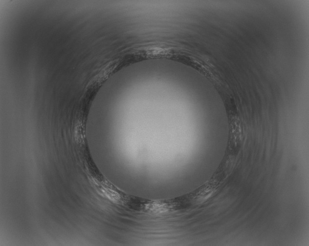 X0000054360419200508011225