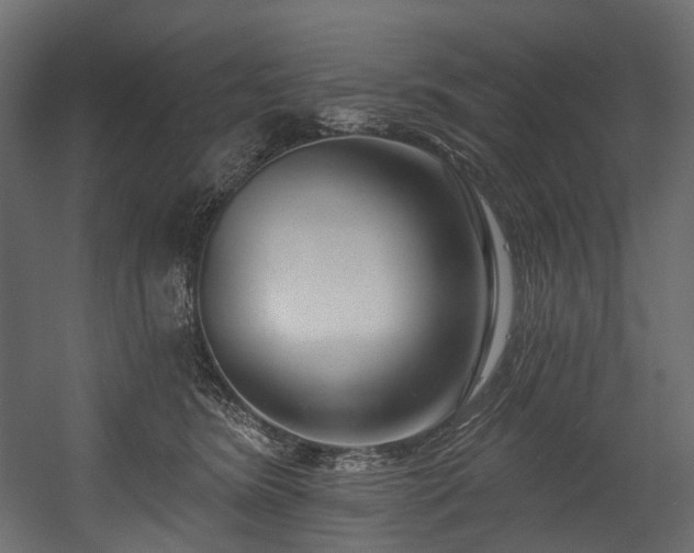 X0000054360420200508011225