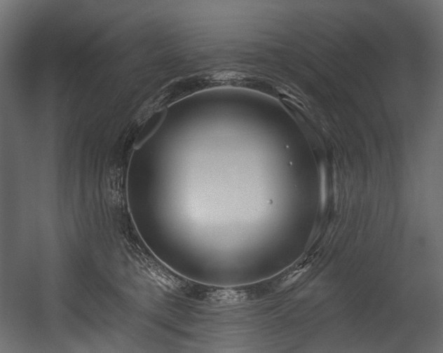 X0000054360421200508011225
