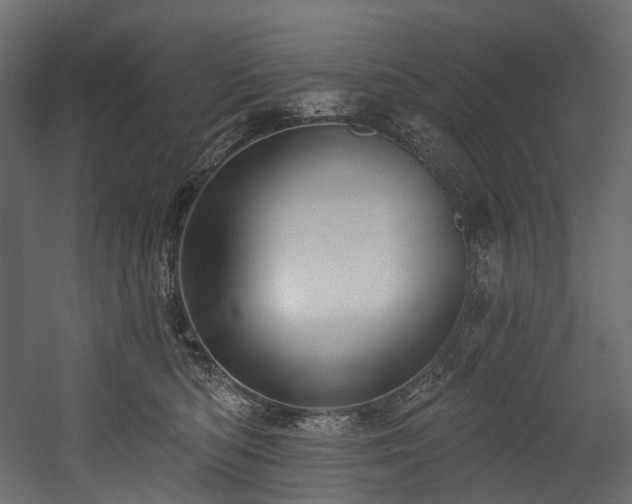 X0000054360422200508011225