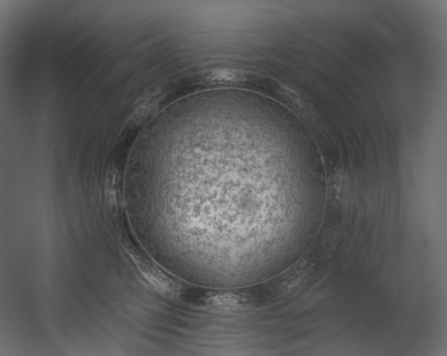X0000054360423200508011225