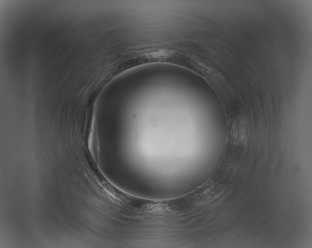 X0000054360424200508011225