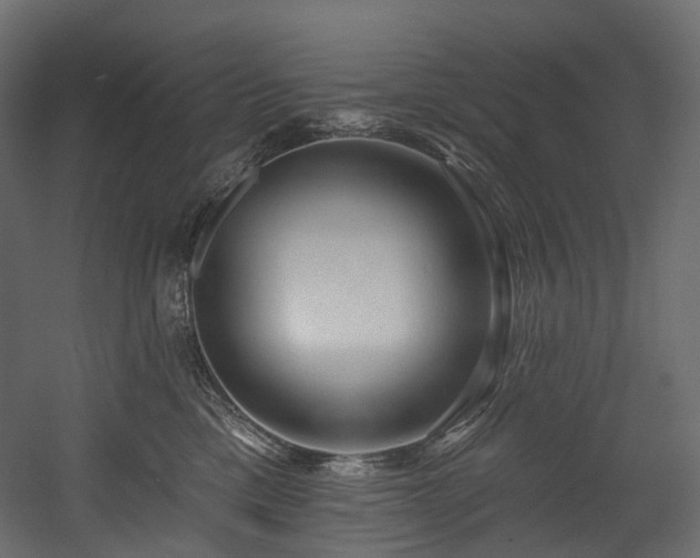 X0000054360425200508011225