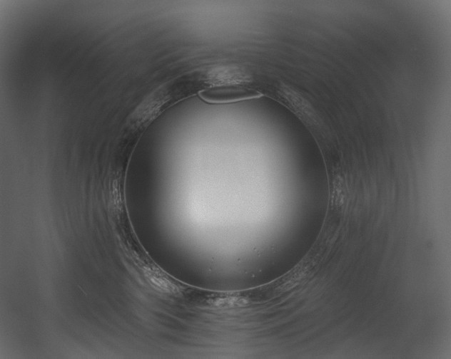 X0000054360426200508011225