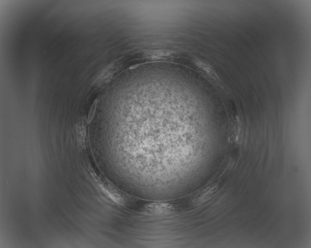 X0000054360427200508011225