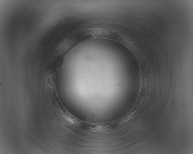 X0000054360430200508011225