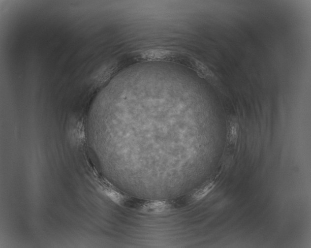 X0000054360431200508011225