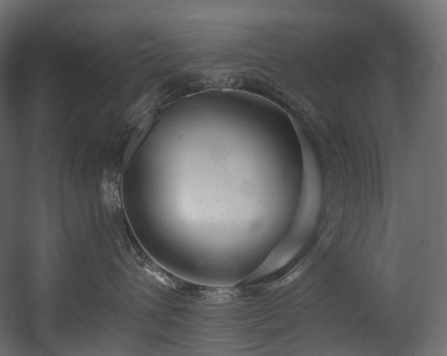 X0000054360432200508011225