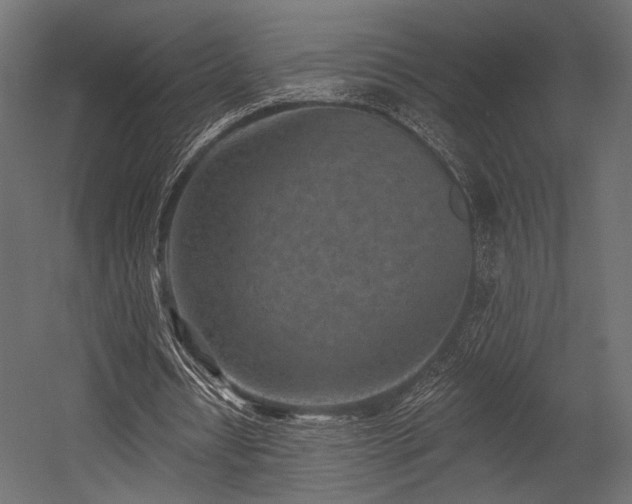 X0000054360434200508011224