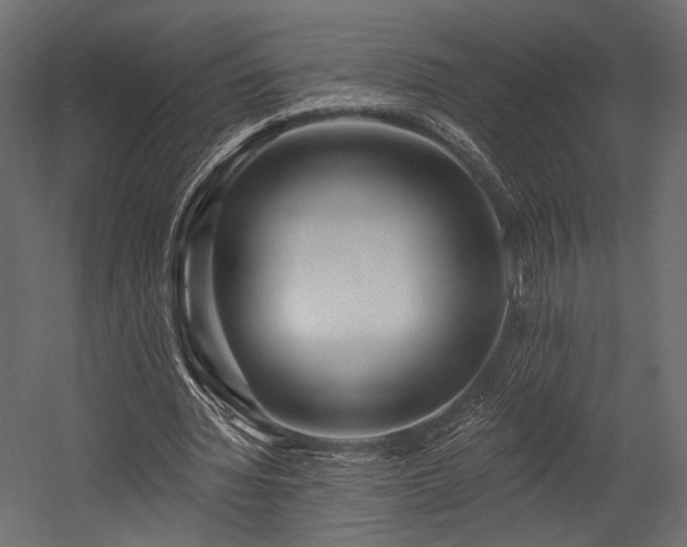 X0000054360436200508011224