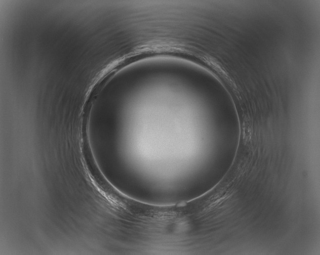 X0000054360438200508011224