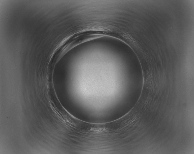 X0000054360440200508011224
