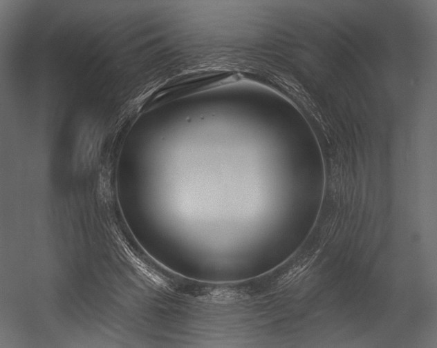 X0000054360441200508011224
