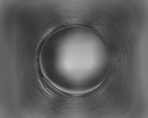 X0000054360443200508011225
