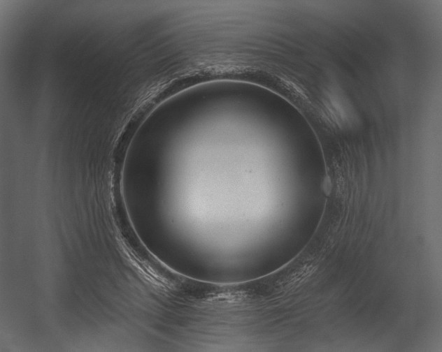 X0000054360447200508011225