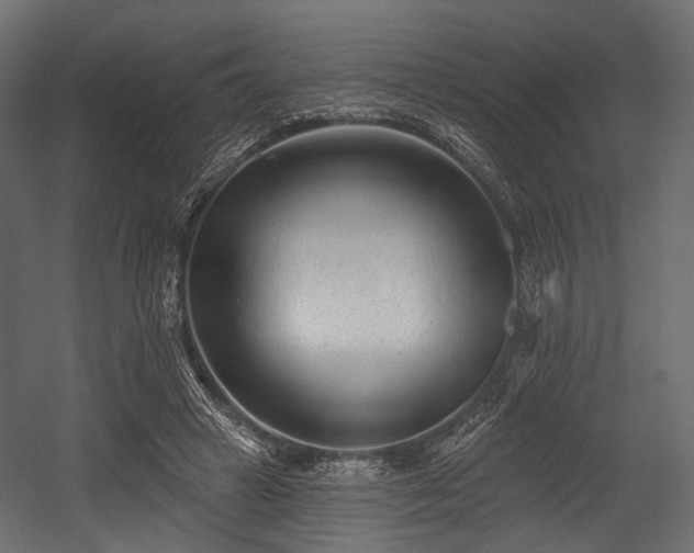 X0000054360449200508011225