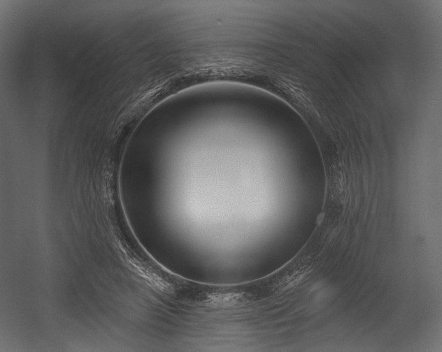 X0000054360450200508011225