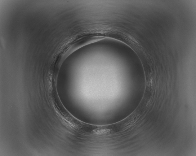 X0000054360452200508011225