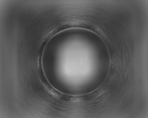 X0000054360454200508011225