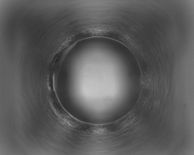 X0000054360456200508011225