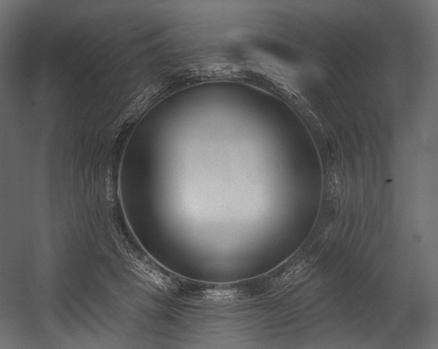 X0000054360457200508011225