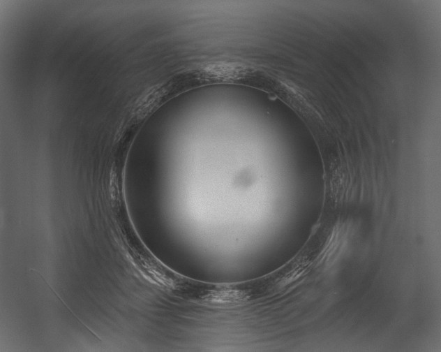 X0000054360459200508011225