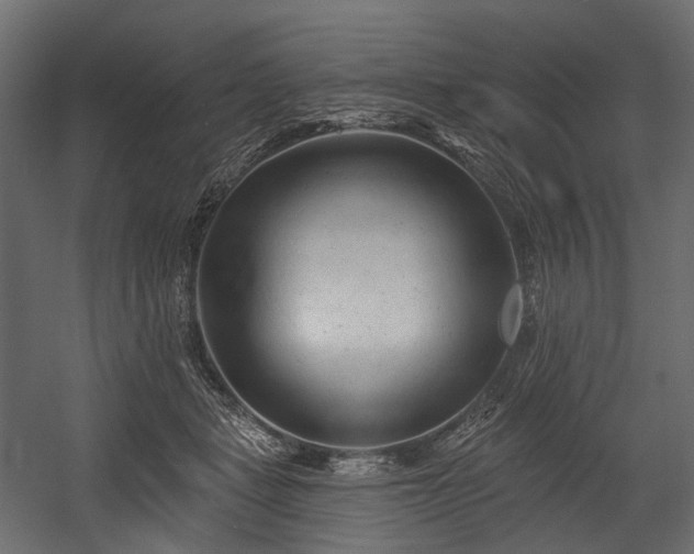X0000054360461200508011225